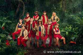 I'm A Celebrity urged to axe animal and insect trials as ITV show is branded 'disgusting'