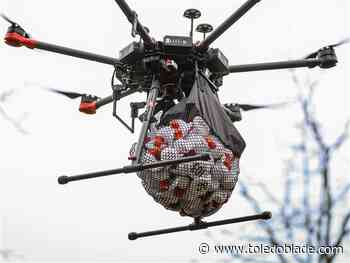 Photo Gallery: Turkey Drop at Wood County Museum