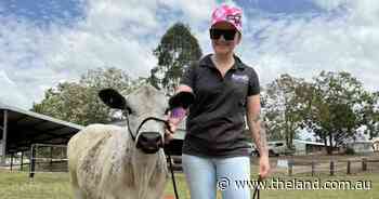 Dolly goes under the hammer at Dungog, all in the name of charity