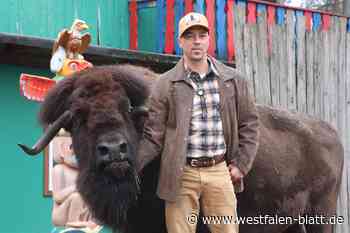 Bison aus Safariland Stukenbrock im Kinofilm „Woodwalkers“ zu sehen