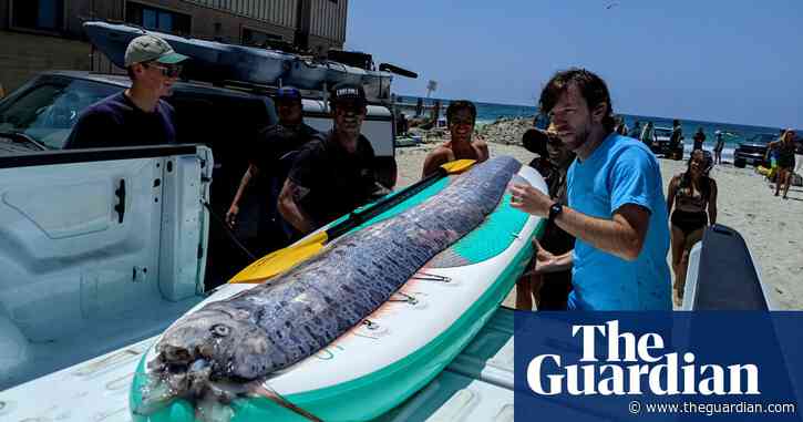 Second oarfish, mythical harbinger of doom, found washed up in California