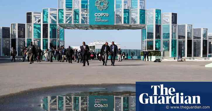 Fossil fuel bosses get ‘red carpet’ at Cop29 despite concerns over influence