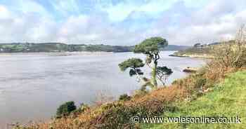 The holiday packed with cosy pubs, beautiful beaches and wonderful walks just 80 miles from Wales