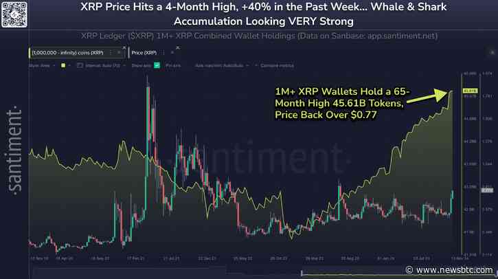 Why Is XRP Price Up Today? Key Reasons Explained