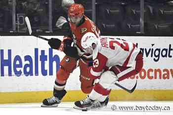 Cutter Gauthier puts Ducks ahead with his 1st NHL goal, and Anaheim rallies past the Red Wings 6-4