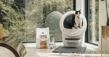 'Doesn't smell at all' Whisker's automatic self-cleaning litter box revolutionises cat care - get £80 off