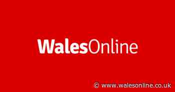 Wales breaking news plus weather and traffic updates (Saturday, November 16)