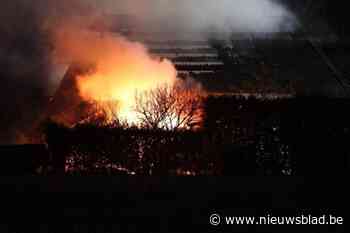 Ernstige brand in boerderij met runderen in Meer: geen dieren of mensen gewond