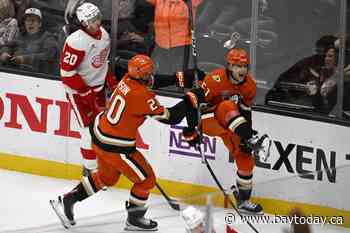 Cutter Gauthier finally scores for the Anaheim Ducks, and everybody thinks more goals are on the way