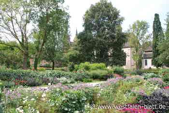 Huxarium Gartenpark startet Dauerkarten-Verkauf