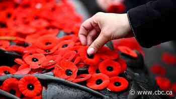 How Remembrance Day and politics collided — and what it means for the future