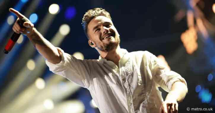 ‘Liam Payne was more to us than just a singer, don’t shame us for grieving’