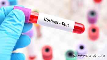 Should We Be Stressed About Our Cortisol Levels? I Got a Blood Stress Test to Find Out