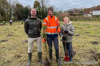 Aurubis en Natuurpunt planten tweeduizend nieuwe bomen in het Princebos: “Belang van groene zones in de stad is groot”