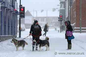 UK snow: Exact parts of England that WON'T see flurries next week according to Met Office