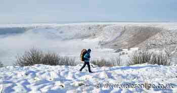 BBC presenter says 'first taste of winter' as '20cm of snow' to fall