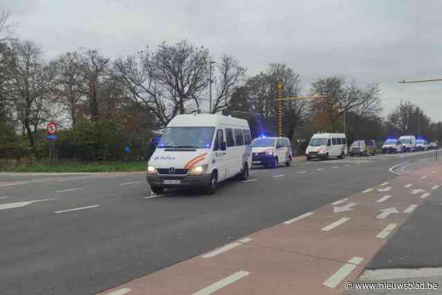 UPDATE. Politiecapaciteit verdubbeld bij illegale rave in Peer: “Op veilige manier zo snel mogelijk beëindigen”