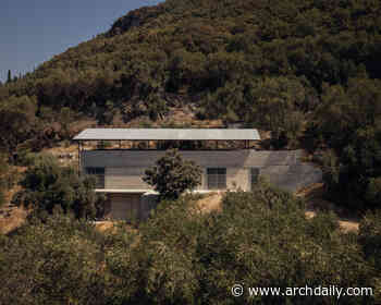 House in an Olive Grove / Invisible Studio