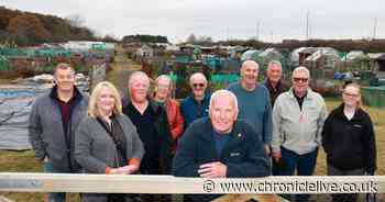 Gosforth community comes together to transform Newcastle allotment site with uncertain future