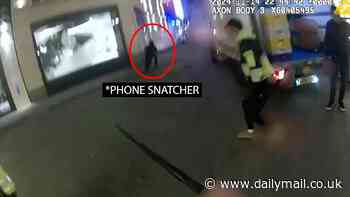 Heart-stopping moment police catch machete-wielding phone thief who had stolen nine mobiles