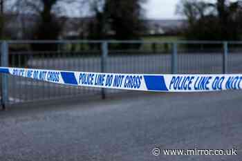 Boy, 11, dies after being hit by car outside school as police search for dashcam footage