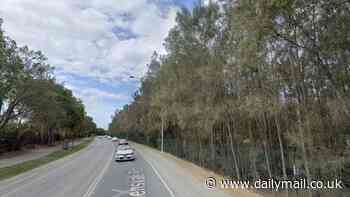 Teenage girl dies after her car veers into a swamp in late-night crash on the Gold Coast