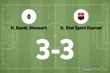 Stal speelt gelijk in uitwedstrijd tegen Stevoort