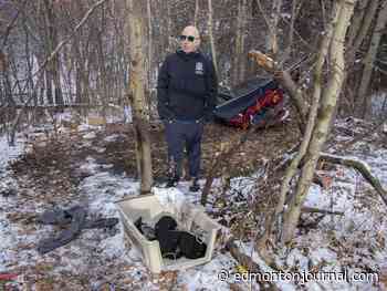 Branching out: Police take down encampments in west Edmonton green spaces