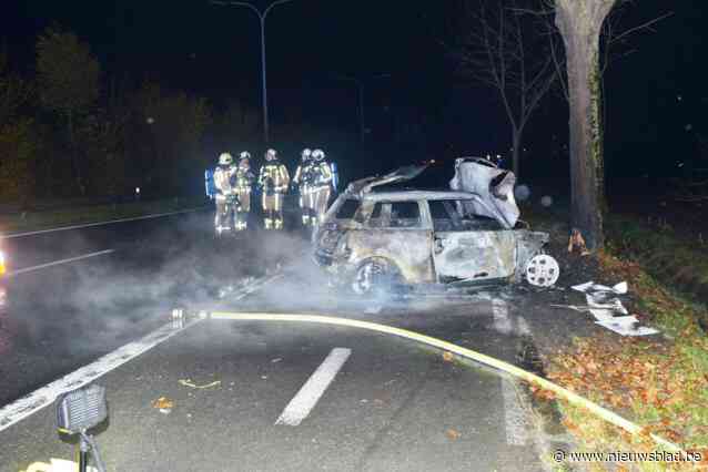 Auto vliegt in brand na klap tegen boom op N60 in Zingem: inzittenden kunnen zich redden