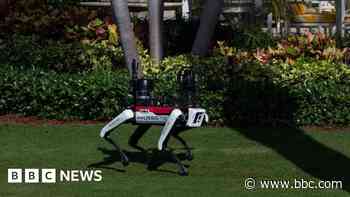 ‘Do not pet’: Why are robot dogs patrolling Mar-A-Lago?