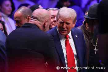 Trump returns to MSG for UFC fight night as he picks oil CEO Chris Wright for energy secretary: Live