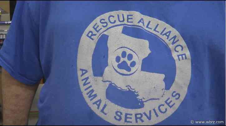 Rescue Alliance in need of donations for animal transport vehicle