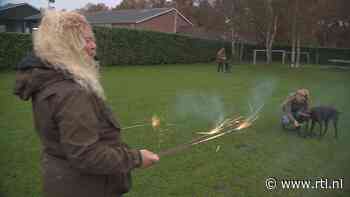 Vuurwerk is een feestje: zo train je je hond om niet meer bang te zijn