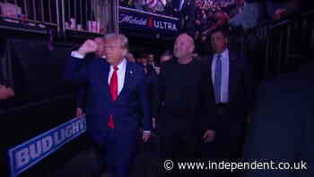 Donald Trump fist pumps UFC crowd as president-elect joined by Elon Musk and Dana White