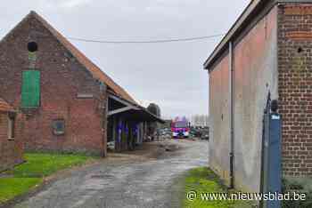 Dak van koeienstal komt deels naar beneden: brandweer brengt dieren in veiligheid