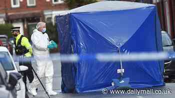 Double murder investigation launched in Manchester after two men found stabbed to death in the street - as man is arrested by cops