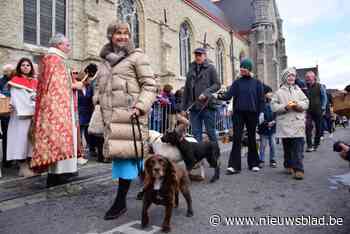 Sint-Hubertus zegent paarden en huisdieren: “Dit is echte traditie”