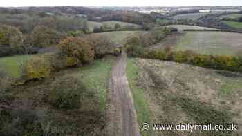 Mystery of the road to nowhere: Villagers in Buckinghamshire countryside furious after illegal track 'destroys' greenbelt land - but who put it there?