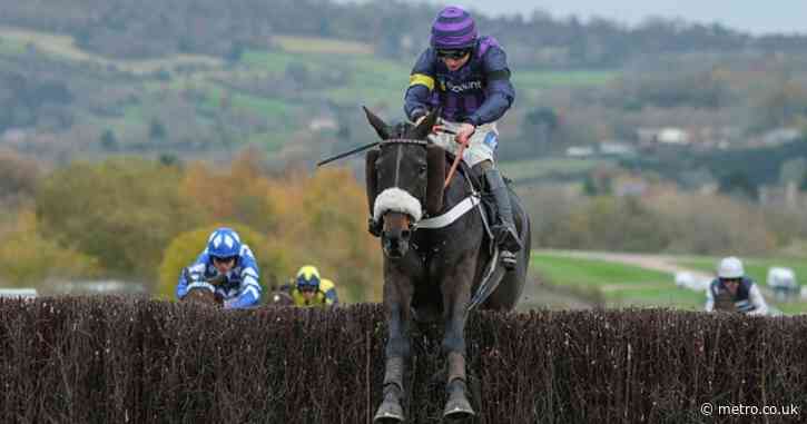 Racing fans left horrified as two horses tragically die in same Cheltenham race