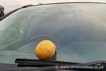 Drivers can prevent frost building up on windscreens with simple potato trick