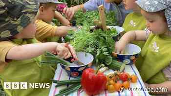 Nurseries ban tinned tuna over mercury level