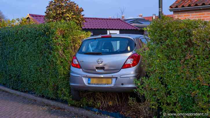 Auto belandt in achtertuin: gat in haag en groentekas in de prak