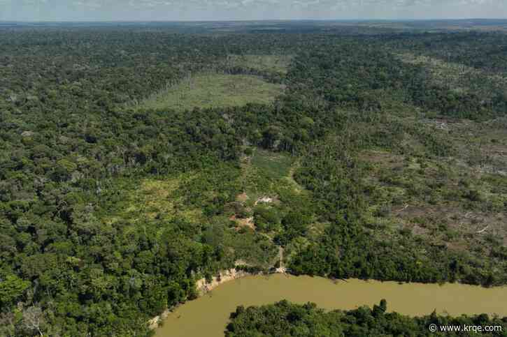 Biden becomes the first sitting US president to visit the Amazon rainforest