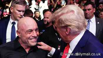 Lip reader deciphers Trump and Joe Rogan's private conversation at UFC 309: 'I won't forget it'