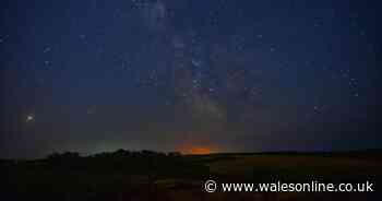 Leonid meteor shower - how to see it and what you should expect