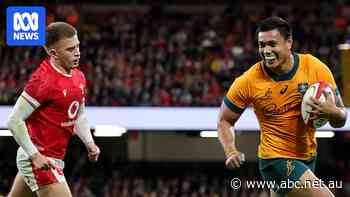 Wallabies starting to click, but harder tests than an abject Wales team await