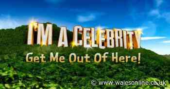 ITV I'm A Celebrity winner 'uncovered' as fans say 'won't accept anything else'