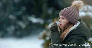 Met Office issues warning as temperatures plummet with snow forecast