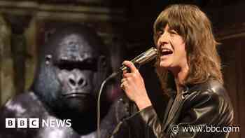 Blossoms on the gorilla that helped them reach 'the peak of our powers'