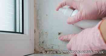 How to spot, prevent and treat mould in your home this winter